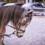 g49b11fb877a3a9717d068f80ab6df9d28ca2622aa2df543bcaa251255fa8b2610f21c5946d52848688c05b41dc51fbc2a202b3045a7919879c58c94151928f91_640