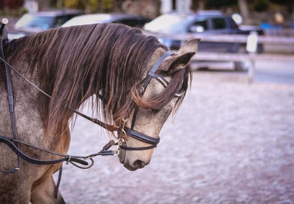 g49b11fb877a3a9717d068f80ab6df9d28ca2622aa2df543bcaa251255fa8b2610f21c5946d52848688c05b41dc51fbc2a202b3045a7919879c58c94151928f91_640